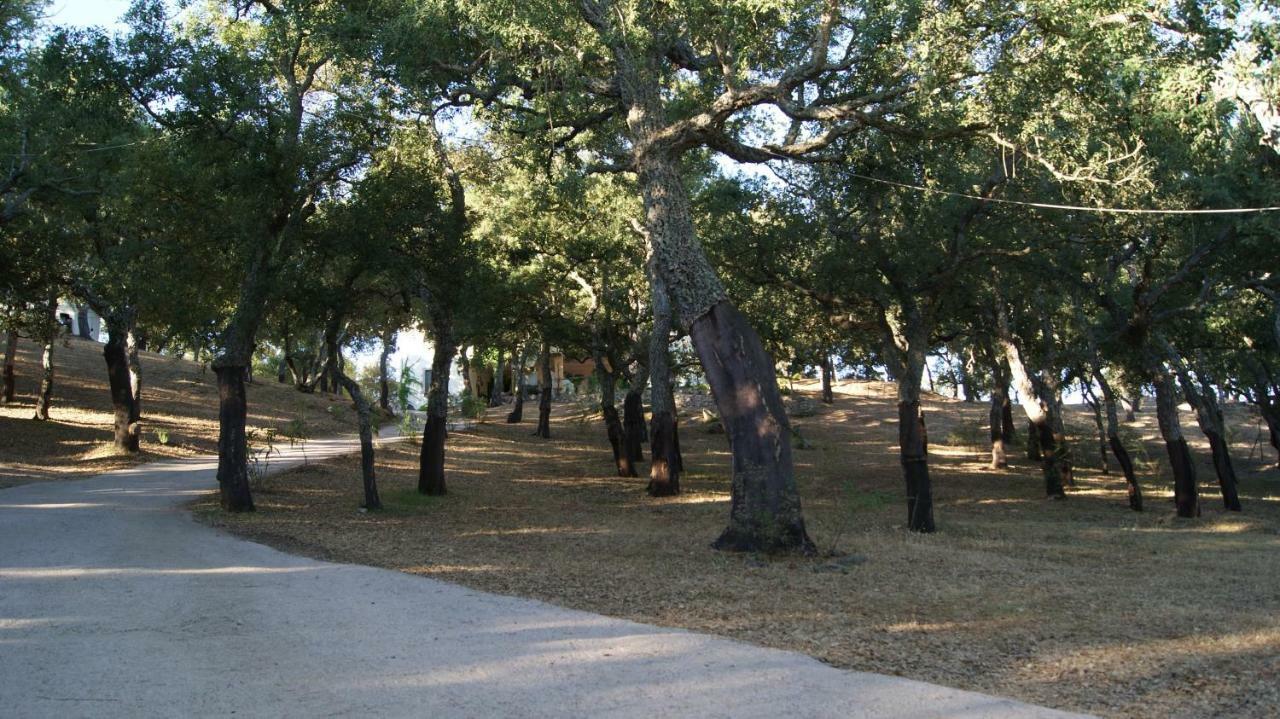 Le Sughere Padru Luaran gambar